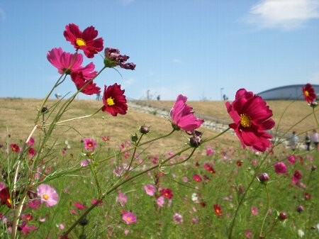 f:id:beatle001:20081013062647j:image f:id:beatle001:20081013062647j:image