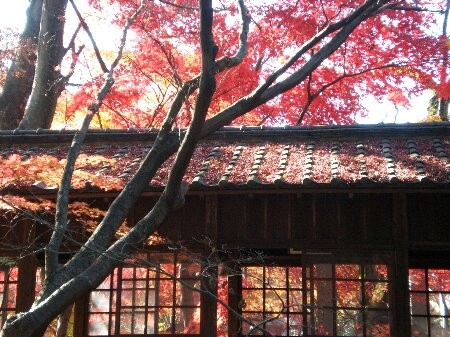f:id:beatle001:20081202074825j:image f:id:beatle001:20081202074825j:image