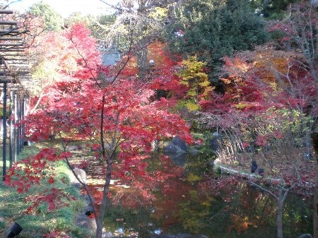 f:id:beatle001:20081202074827j:image f:id:beatle001:20081202074827j:image