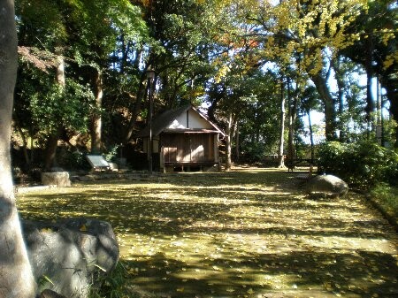 f:id:beatle001:20081202075124j:image f:id:beatle001:20081202075124j:image