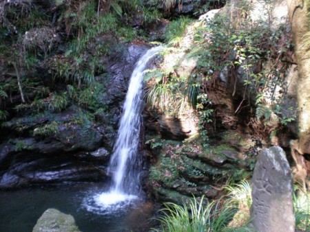 f:id:beatle001:20090112114537j:image f:id:beatle001:20090112114537j:image