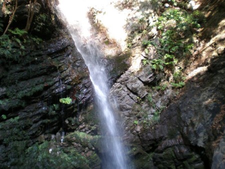f:id:beatle001:20090112114538j:image f:id:beatle001:20090112114538j:image