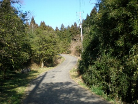 f:id:beatle001:20090112115234j:image f:id:beatle001:20090112115234j:image