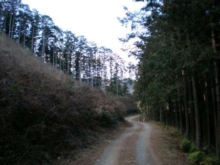 f:id:beatle001:20090112115235j:image f:id:beatle001:20090112115235j:image