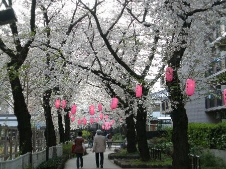 f:id:beatle001:20090405091446j:image