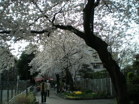 f:id:beatle001:20090405091447j:image