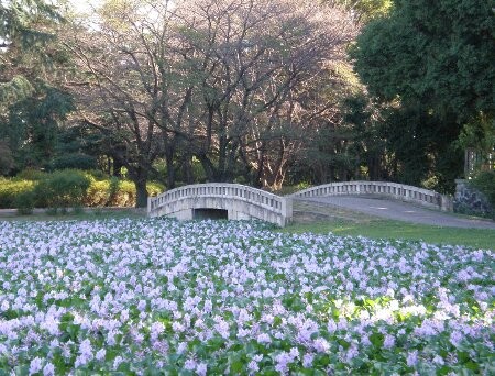 f:id:beatle001:20090922072840j:image