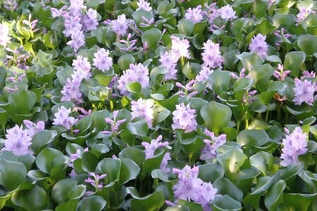 f:id:beatle001:20090922072853j:image
