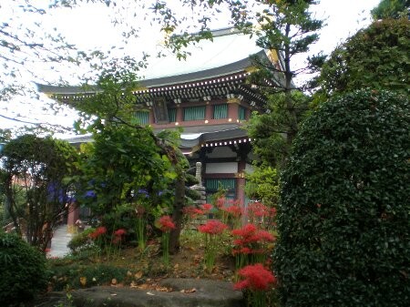 f:id:beatle001:20090923071430j:image f:id:beatle001:20090923071430j:image