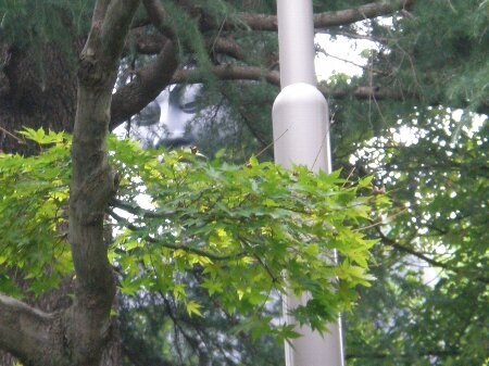 f:id:beatle001:20090923071521j:image f:id:beatle001:20090923071521j:image