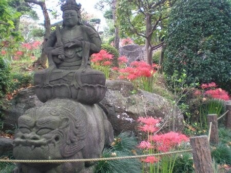 f:id:beatle001:20090923071619j:image f:id:beatle001:20090923071619j:image