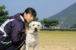 f:id:beatle001:20100816131545j:image:right f:id:beatle001:20100816131545j:image:right
