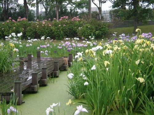 f:id:beatle001:20120617073131j:image