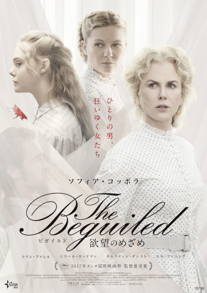 f:id:beatle001:20180227093037j:image f:id:beatle001:20180227093037j:image