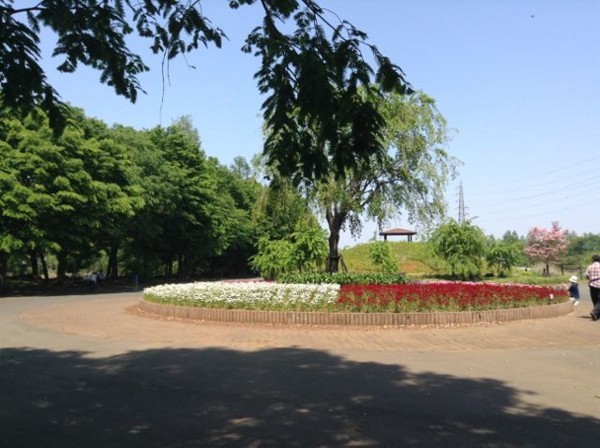 f:id:beatle001:20180424111309j:image f:id:beatle001:20180424111309j:image