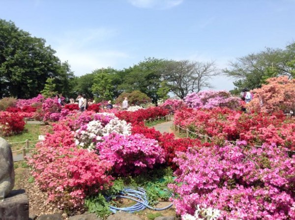 f:id:beatle001:20180506052524j:image