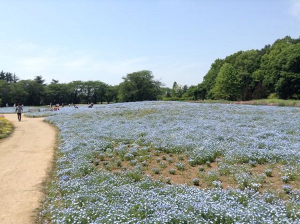 f:id:beatle001:20180506053457j:image