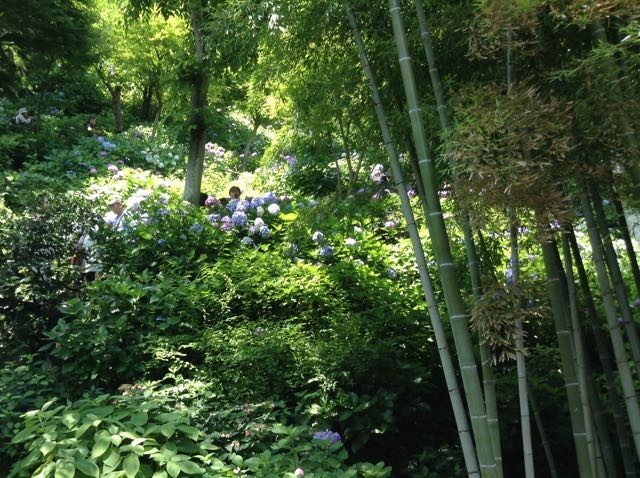 f:id:beatle001:20180627102421j:plain f:id:beatle001:20180627102421j:plain