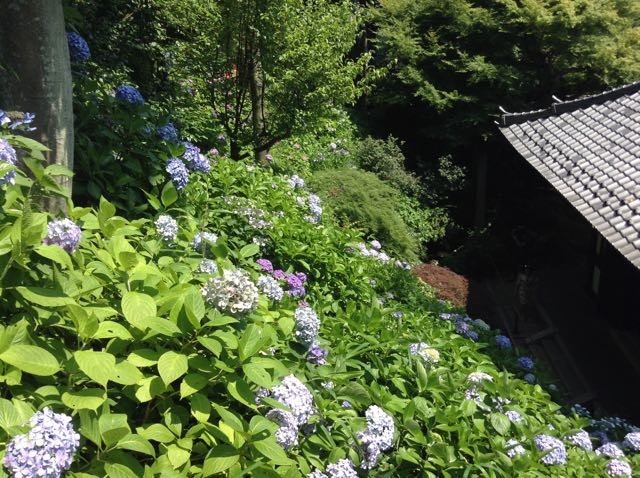 f:id:beatle001:20180627102435j:plain f:id:beatle001:20180627102435j:plain