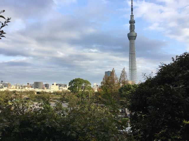 f:id:beatle001:20181009101610j:plain f:id:beatle001:20181009101610j:plain