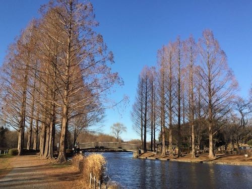 f:id:beatle001:20190106082439j:plain f:id:beatle001:20190106082439j:plain