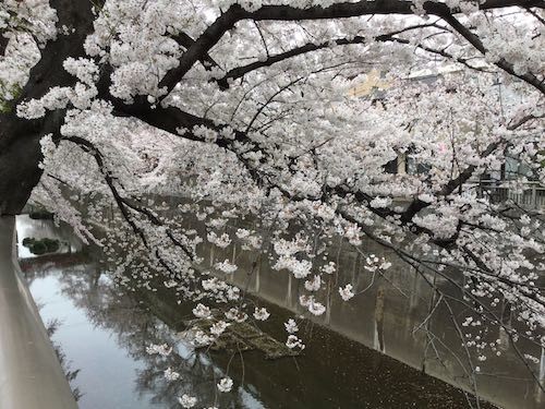 f:id:beatle001:20190409105037j:plain