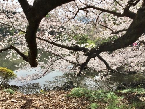 f:id:beatle001:20190409110019j:plain