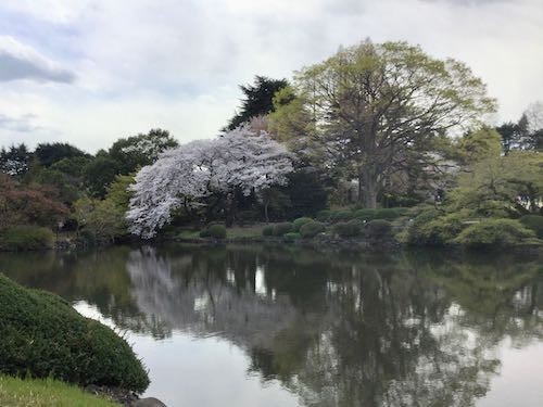 f:id:beatle001:20190409110043j:plain