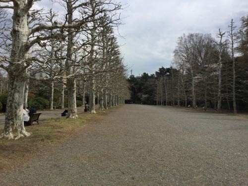 f:id:beatle001:20190409110127j:plain
