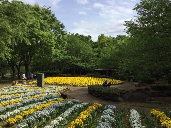 f:id:beatle001:20190502105643j:plain f:id:beatle001:20190502105643j:plain