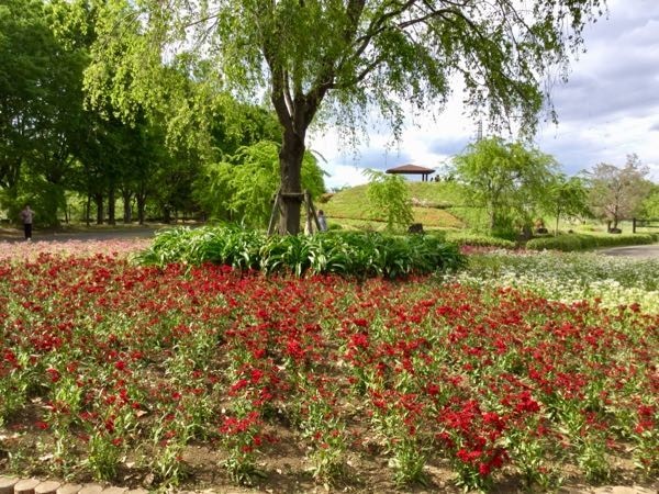 f:id:beatle001:20190502110718j:plain f:id:beatle001:20190502110718j:plain