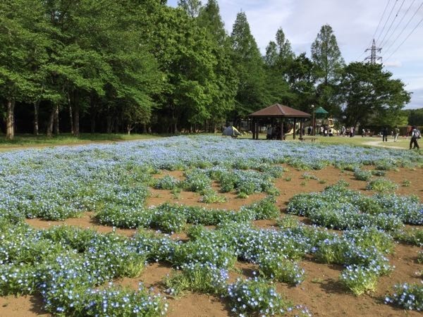 f:id:beatle001:20190502110749j:plain f:id:beatle001:20190502110749j:plain