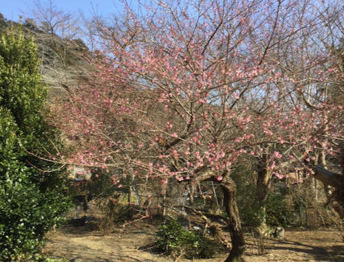 f:id:beatle001:20210215110849j:plain