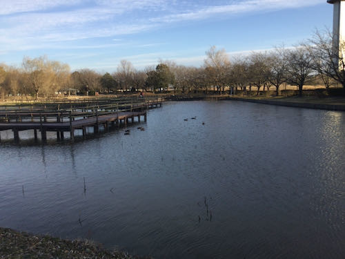 f:id:beatle001:20210228153319j:plain