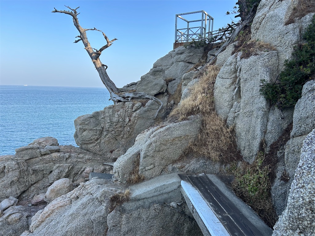 f:id:beatle11:20260119180826j:image