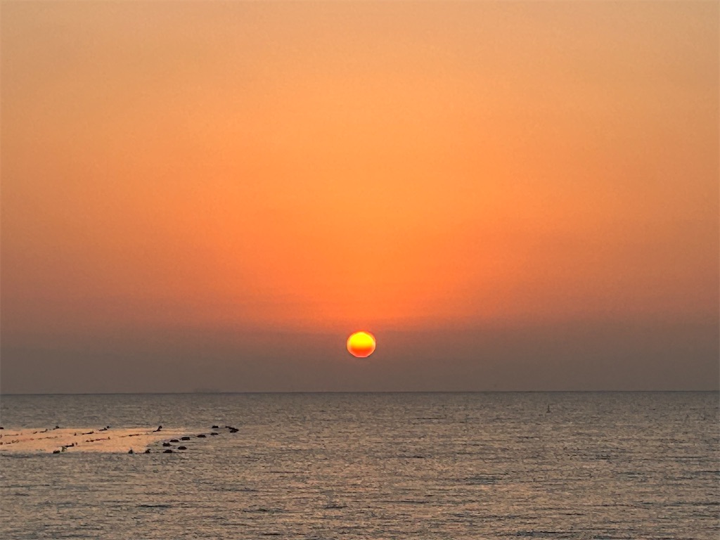 f:id:beatle11:20260119180837j:image