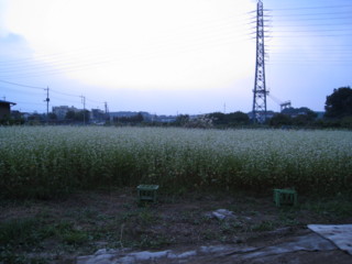 f:id:beatnik:20080914165914j:image