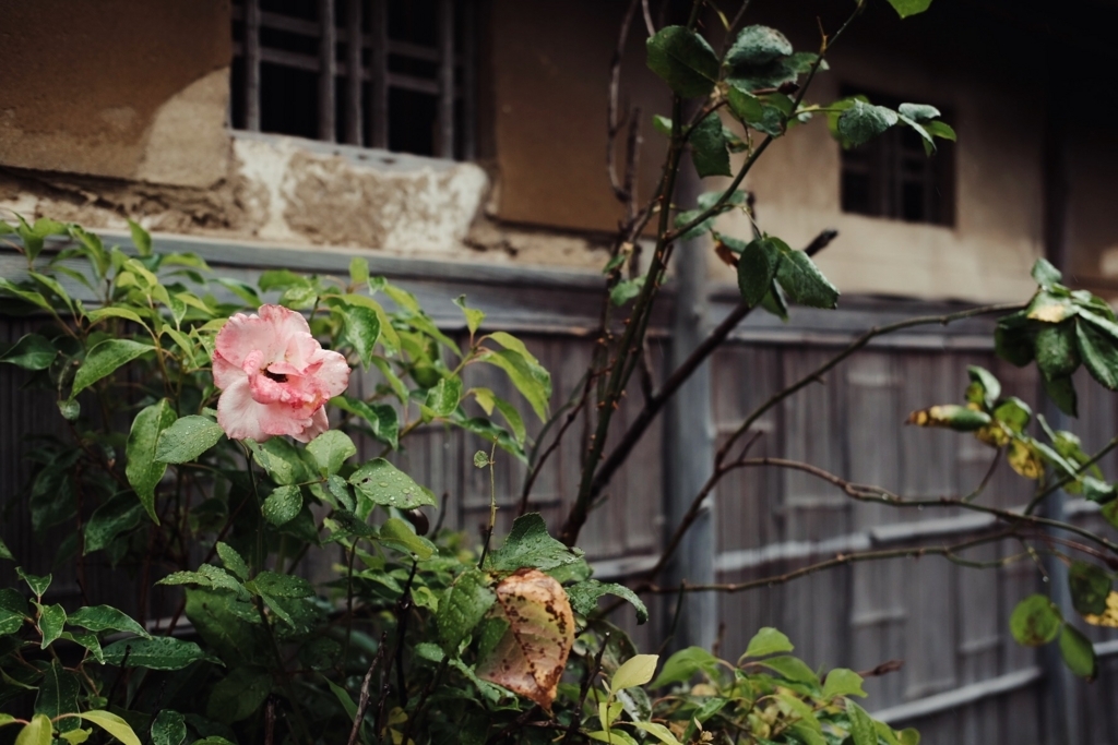 f:id:beatsjungle:20170613205428j:plain