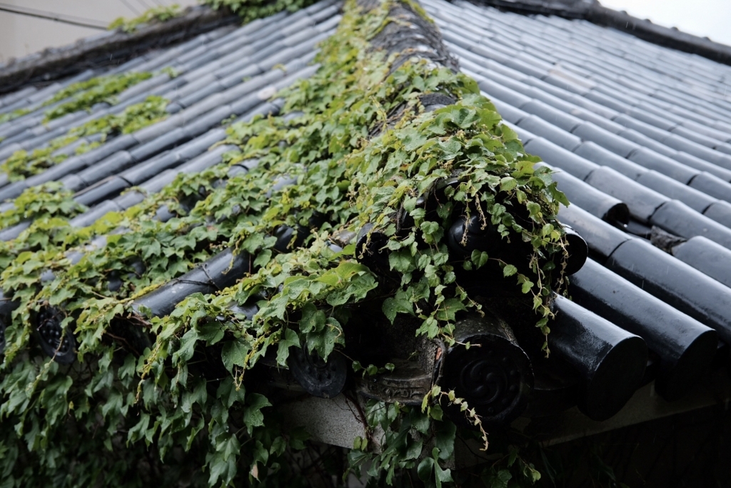 f:id:beatsjungle:20170616220241j:plain