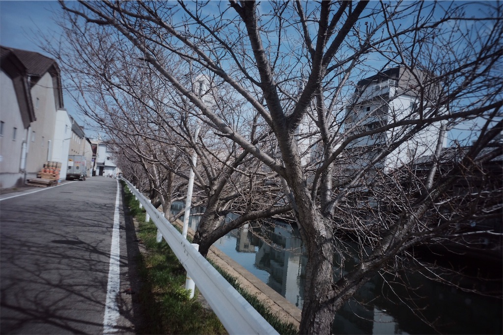 f:id:beatsjungle:20180318205108j:image