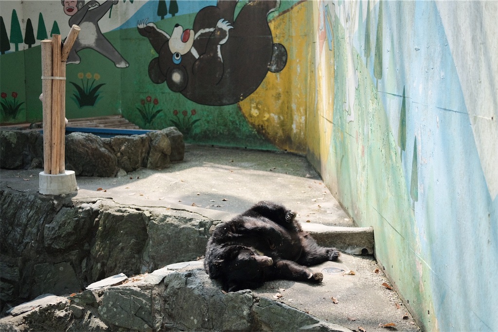 f:id:beatsjungle:20180329210348j:image f:id:beatsjungle:20180329210348j:image