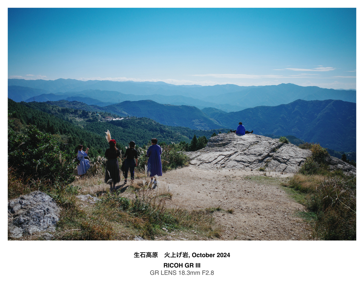 古谷石　台座付　木箱付き　和歌山田辺産 古谷石 台座付 木箱付き 和歌山田辺産 2025年最新】紀州古谷石