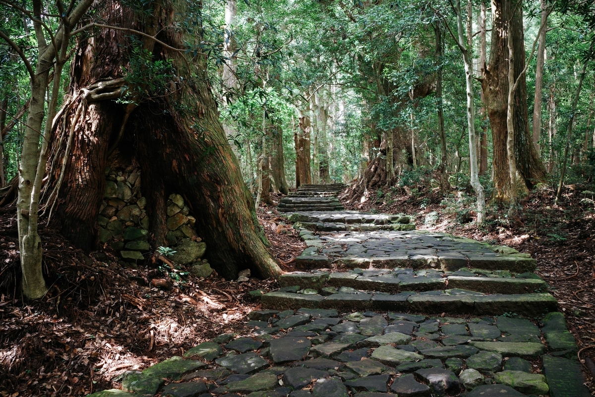 熊野古道「大門坂」を歩く｜那智大社・那智の滝へ続く石畳の参道