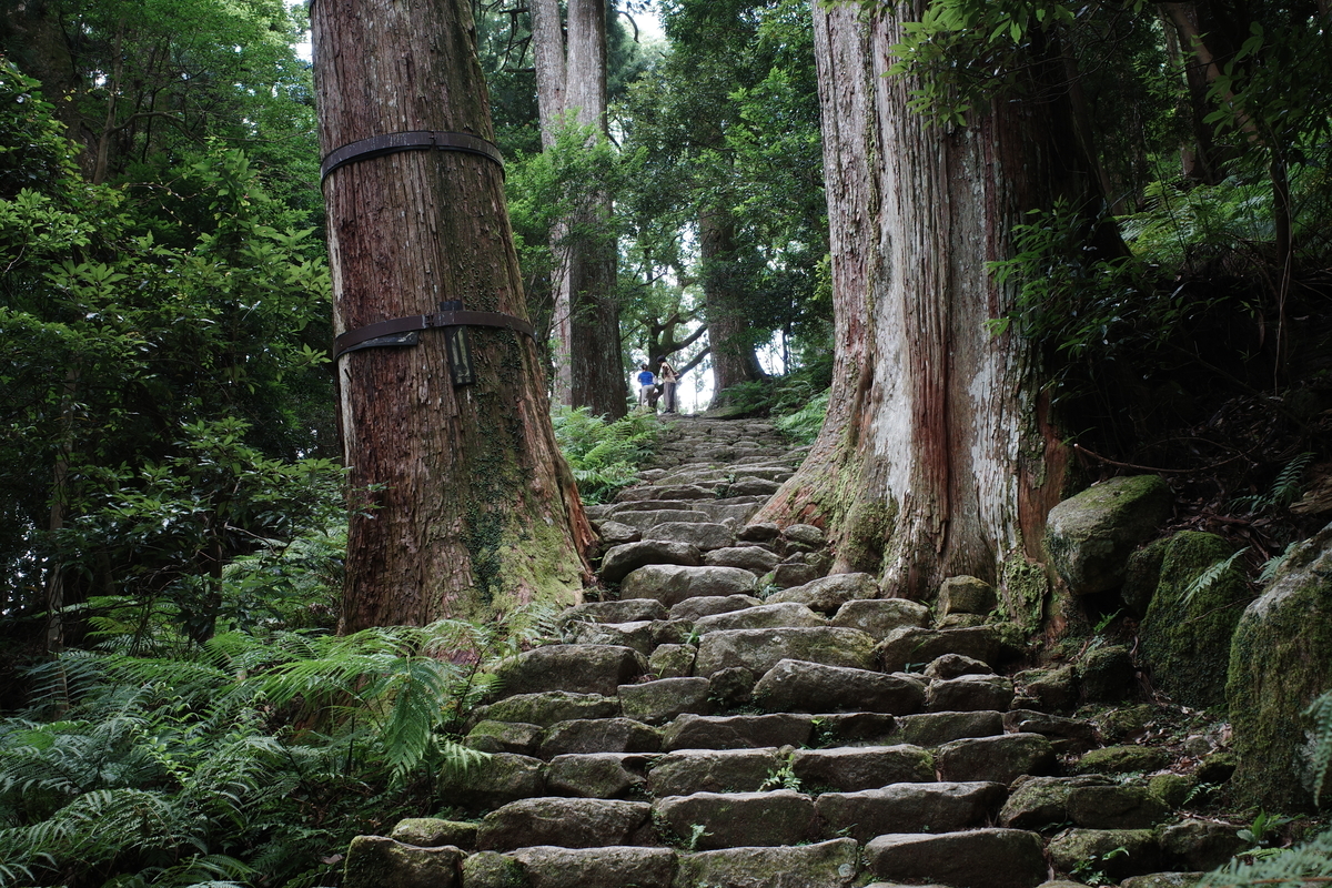 熊野那智大社から那智の滝へ｜青岸渡寺・三重の塔を巡る - Record of