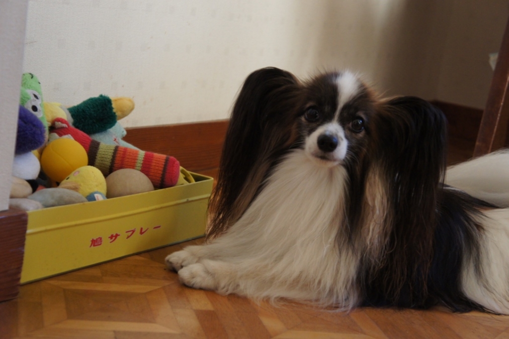 f:id:beaupapillon:20160818212800j:plain