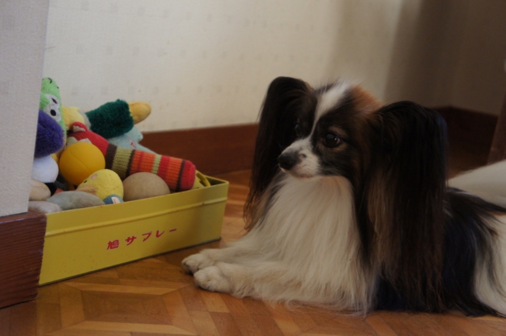 f:id:beaupapillon:20160818212811j:plain