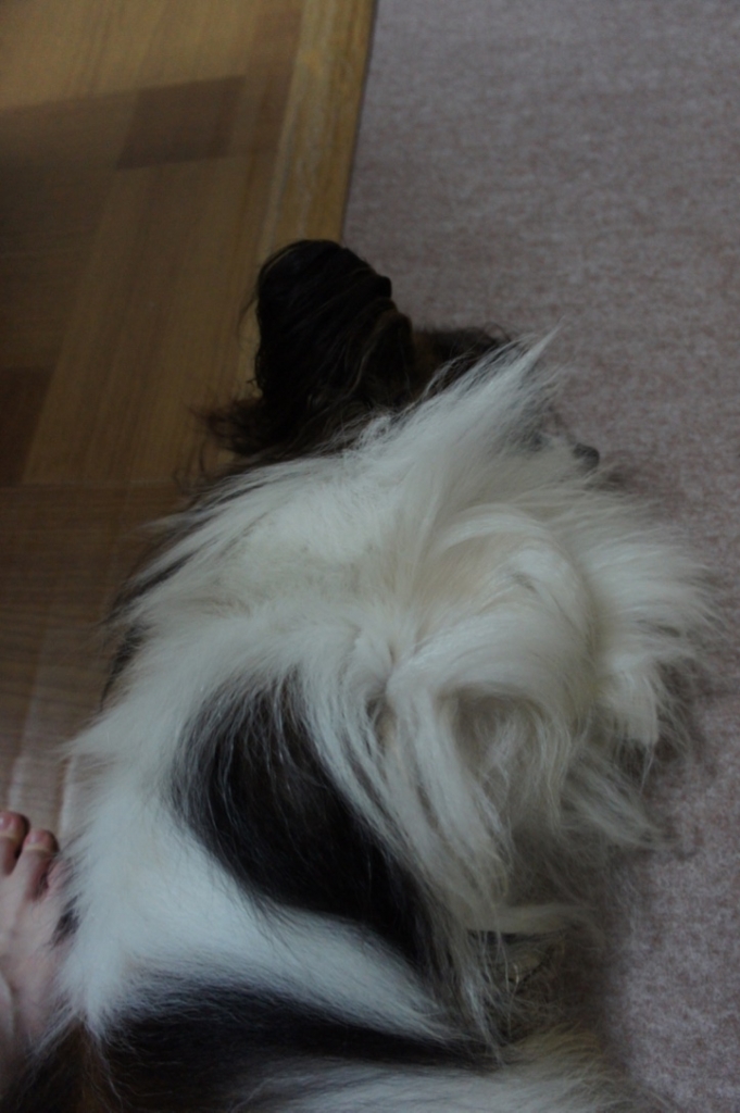f:id:beaupapillon:20160910151326j:plain