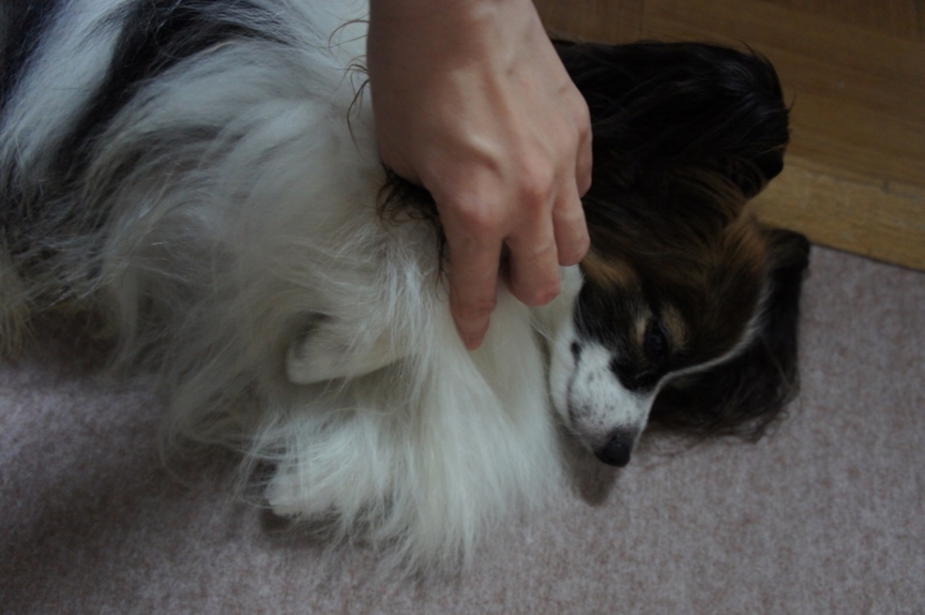 f:id:beaupapillon:20160910151339j:plain