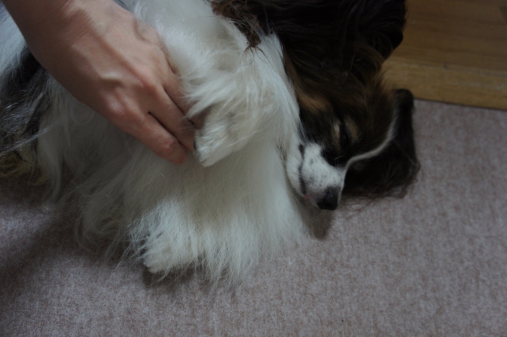 f:id:beaupapillon:20160910151356j:plain