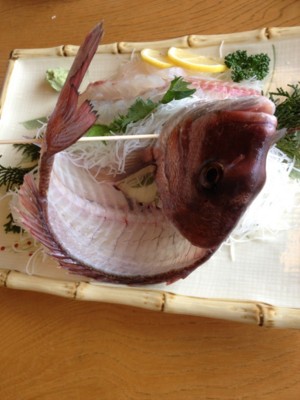 f:id:beautiful-moon:20120223103424j:image